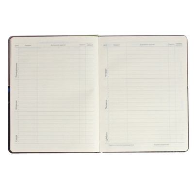 Дневник универсальный 1-11 класса Neon, твёрдая обложка, искусственная кожа, цветной срез, шелкография, ляссе, блок 80 г/м2