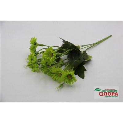 Букет Ромашка с бутонами