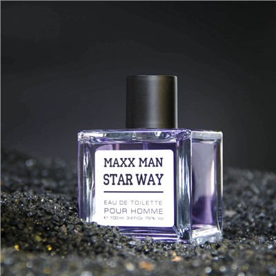 Туалетная вода мужская Maxx Man Star Way, 100 мл (по мотивам Egoiste Platinum (Chanel)
