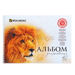 Альбом для рисования "Благородные кошки" А4, 40 л., гребень, обложка картон