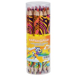 Карандаш с многоцветным грифелем Мульти-Пульти "Енот и радуга", утолщенный, двусторонний, заточен.
