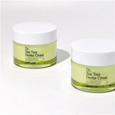 Lebelage Уценка Крем с экстрактом чайного дерева / Dr. Tea Tree Derma Cream, 50 мл