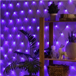 Гирлянда «Сеть» 1.6 × 1.6 м, IP20, тёмная нить, 144 LED, 8 режимов, 220 В, свечение синее