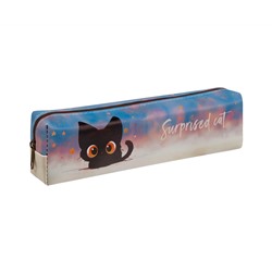Пенал мягкий 200*55*40 MESHU "Surprised Cat", искусственная кожа