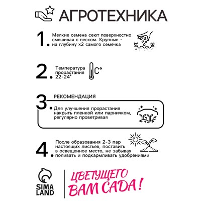 Семена комнатных цветов Пеларгония "Cмесь", 4 шт.