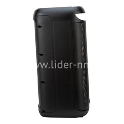 Колонка 06" (30-44 DANCE BOX 900) динамик 2шт/6.5" ELTRONIC с TWS