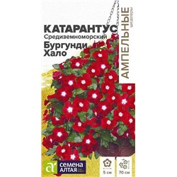 Семена Катарантус Средиземноморский Бургунди Хало, арт.: 70696