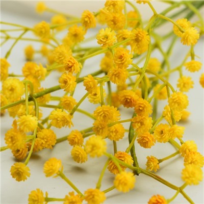 Цветы искусственные «Гипсофила хлопчатая», h=60 см, жёлтые