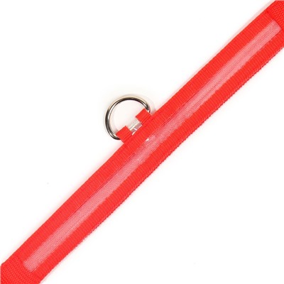 Ошейник с подсветкой размер XL, ОШ 52-60×2.5 см, 3 режима свечения красный