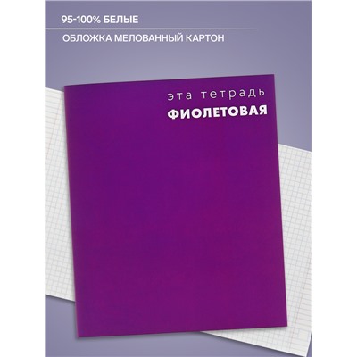 Тетрадь 48 листов в клетку Calligrata «Это Тетрадь», обложка мелованный картон, блок офсет, МИКС