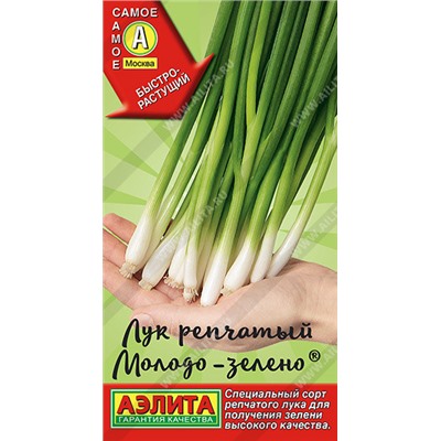 0506 Лук репчатый Молодо-зелено 0,5гр