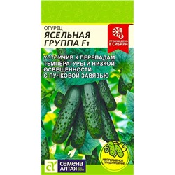 Семена Огурец Ясельная группа, арт.: 8865