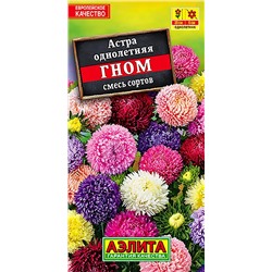 Семена Астра Гном китайская карликовая, арт.: 3506