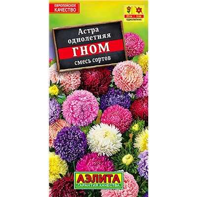 Семена Астра Гном китайская карликовая, арт.: 3506