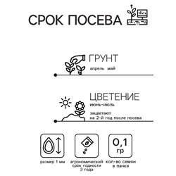 Семена цветов Колокольчик "Карпатский", Смесь окрасок, 0,1г