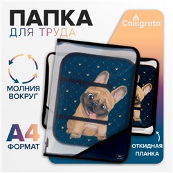 Папка для труда А4, 325 х 230 х 25 мм, молния вокруг, откидная планка, пластиковая, ПТР-1, Calligrata "Бульдожка"