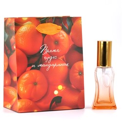 Сумка подарочная Время чудес и мандаринок 11,5*14,5*6,5