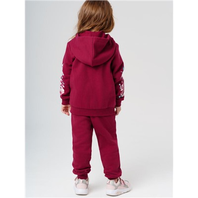 Комплект для девочки: толстовка, брюки
