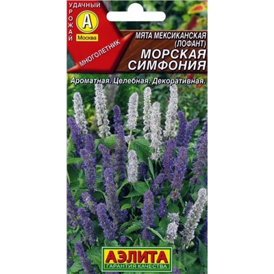Мята Морская Симфония мексиканская
