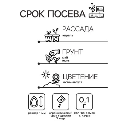Семена цветов Иберис "Гармония", Евро , 0,1 г