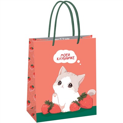 Пакет подарочный 18*23*10см MESHU "Strawberry" MS_61584/12/Китай