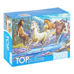 Пазлы 2000 TOPpuzzle "Ночной табун лошадей"