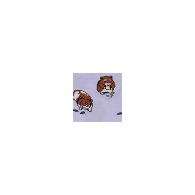 Носки женские 21С4200 165 Брестские Pets Conte [6шт] Дроп