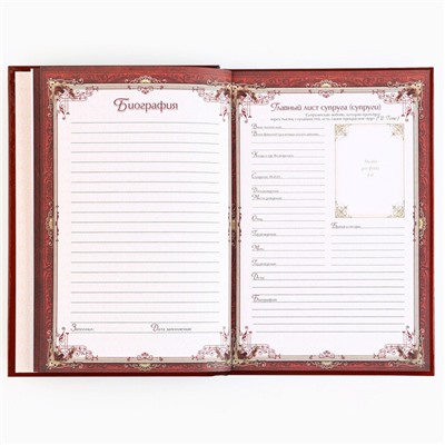 Родословная книга новогодняя « Дед Мороз» 17×2×23.7 см