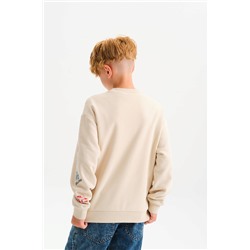 Толстовка для мальчиков