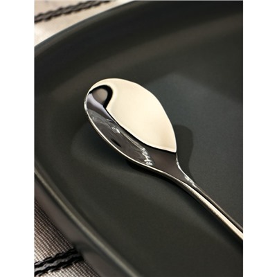 Ложка десертная из нержавеющей стали Magistro «Перо», длина 12.5 см, серебристая