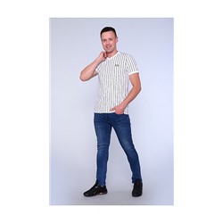 Футболка мужская #097202185