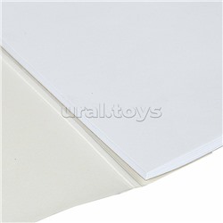 Альбом для акварели А4, 20 л., бумага 200 г/м2, склейка, обложка картон, "Пионы"