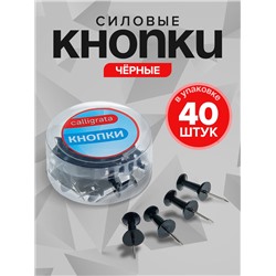 Кнопки силовые, 40 штук, в пластиковой коробке, чёрные