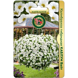 Калибрахоа гибридная Каблум Вайт