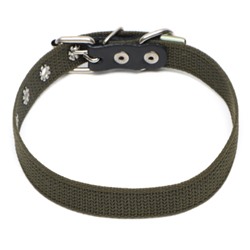 Ошейник брезентовый однослойный, 50×2 см, ОШ 25-35 см, хаки