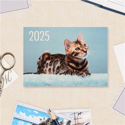 Карманный календарь "Животные" 2025 год, микс, 7 х 10 см