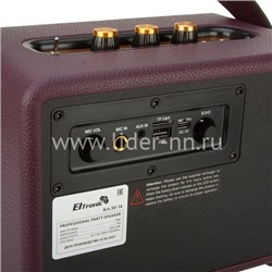 Колонка  ELTRONIC MONSTER BOX  700 (30-14) TWS (красный)