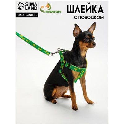 Комплект "Большая лапа", ширина 1,5 см, поводок 120 см, шлейка 28-42 см, жёлто-зелёный