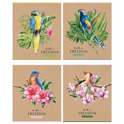 Тетрадь 48л., А5, клетка ArtSpace "Рисунки. Bird", суперэконом