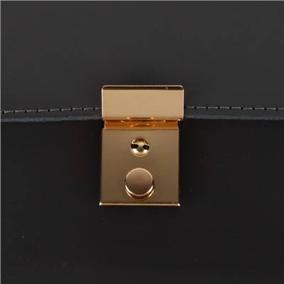 Застёжка для сумки, 3.5×2.6 см, цвет золотой