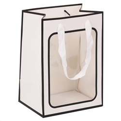 Пакет подарочный 18*25*13 с окном белый КОКОС 232236/12/Китай