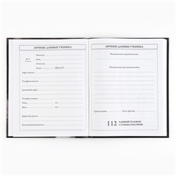 Дневник школьный 5-11 класс, в твердой обложке, 48 л. «Кошка»
