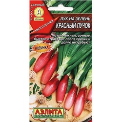 Лук на зелень Красный пучок, арт.: 70992