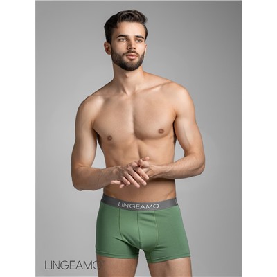 Трусы мужские боксеры Lingeamo ЛБ-01 (125)