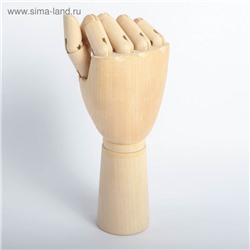 Модель деревянная художественная Манекен "Рука мужская правая" 31 см