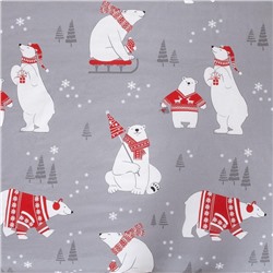 Постельное бельё "Этель" 1.5 сп «Зимние игры» 143*215 см, 150*214 см, 70*70 см -2 штуки