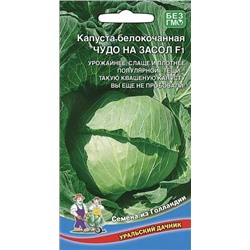 Семена Капуста белокочанная Чудо на засол F1, арт.: 16143