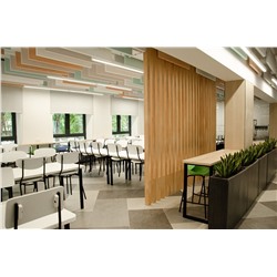 Стул SHT-S85М-2 пластиковый
                        белый / хром лак