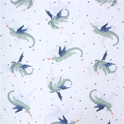 Постельное бельё "Этель" 1,5 Happy dragon 143х215 см, 150х214 см, 50х70 см -1 штука, 100% хлопок, бязь