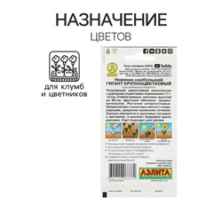 Семена цветов Нивяник "Гигант", крупноцветковый, Ц/П, 0,5 г